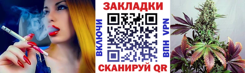 Где можно купить наркотики Судогда Кетамин  Alpha PVP  ГАШ  Кокаин  MEGA зеркало  АМФЕТАМИН 