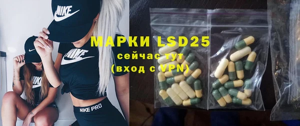 стаф Абинск