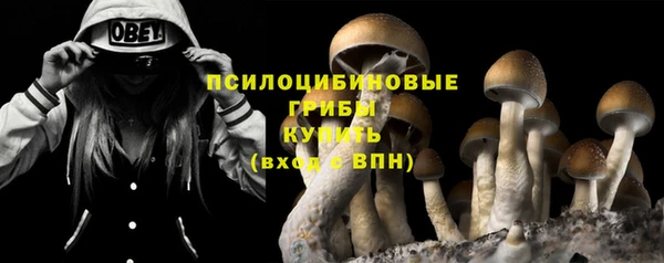 стаф Абинск
