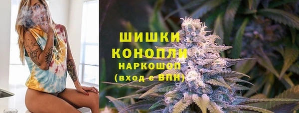 стаф Абинск