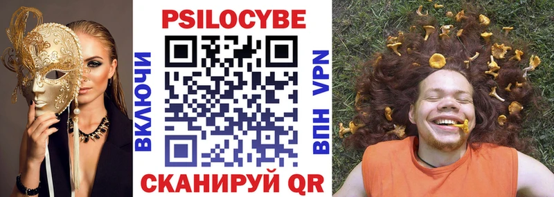 Псилоцибиновые грибы Psilocybe  наркошоп  Судогда 